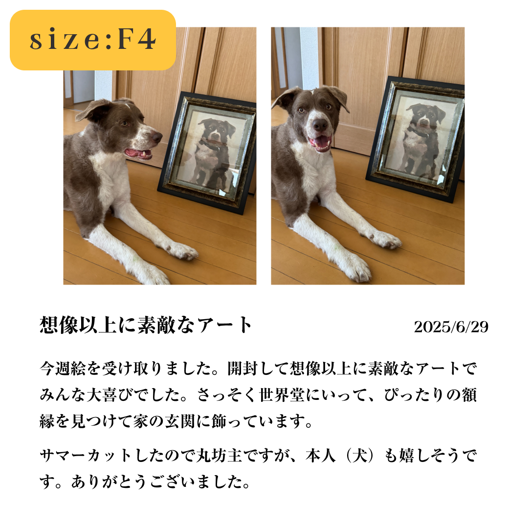 【割引】フォトイル(ゆっくりお届けプラン)